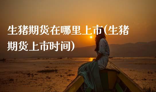 生猪期货在哪里上市(生猪期货上市时间) (https://www.njaxzs.com/) 内盘期货 第1张