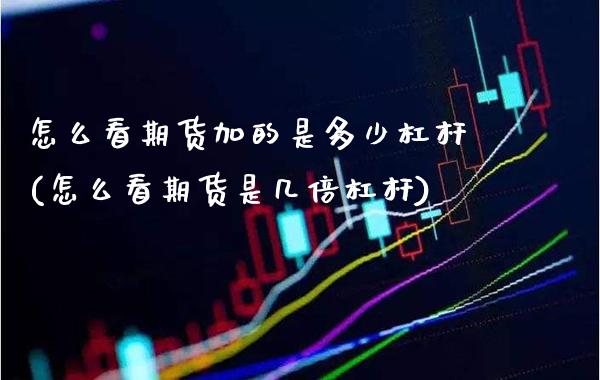 怎么看期货加的是多少杠杆(怎么看期货是几倍杠杆) (https://www.njaxzs.com/) 期货投资 第1张