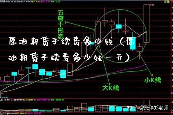 原油期货手续费多少钱（原油期货手续费多少钱一天） (https://www.njaxzs.com/) 期货直播间 第1张