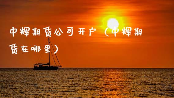 中辉期货公司开户（中辉期货在哪里） (https://www.njaxzs.com/) 期货直播间 第1张