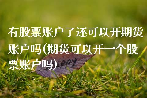 有股票账户了还可以开期货账户吗(期货可以开一个股票账户吗) 期货直播间 第1张-爱新财经 有股票账户了还可以开期货账户吗(期货可以开一个股票账户吗) (https://www.njaxzs.com/) 期货直播间 第1张