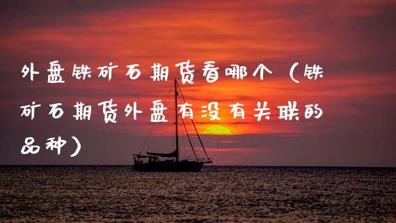 外盘铁矿石期货看哪个（铁矿石期货外盘有没有关联的品种） (https://www.njaxzs.com/) 内盘期货 第1张