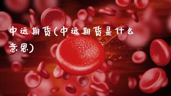 中远期货(中远期货是什么意思) (https://www.njaxzs.com/) 内盘期货 第1张