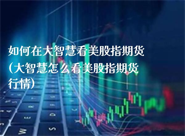 如何在大智慧看美股指期货(大智慧怎么看美股指期货行情) (https://www.njaxzs.com/) 原油期货 第1张