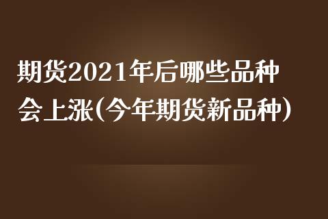 期货2021年后哪些品种会上涨(今年期货新品种) (https://www.njaxzs.com/) 期货开户 第1张