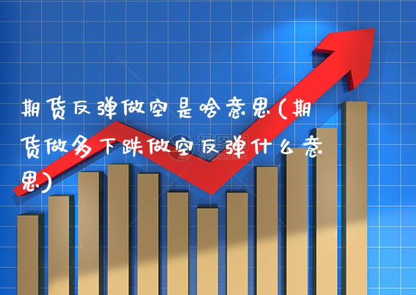 期货反弹做空是啥意思(期货做多下跌做空反弹什么意思) (https://www.njaxzs.com/) 黄金期货 第1张