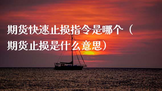 期货快速止损指令是哪个（期货止损是什么意思） (https://www.njaxzs.com/) 期货直播间 第1张