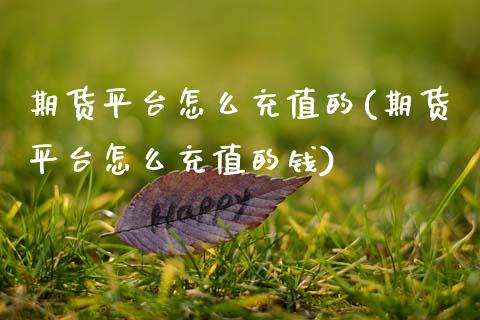 期货平台怎么充值的(期货平台怎么充值的钱) (https://www.njaxzs.com/) 黄金期货 第1张