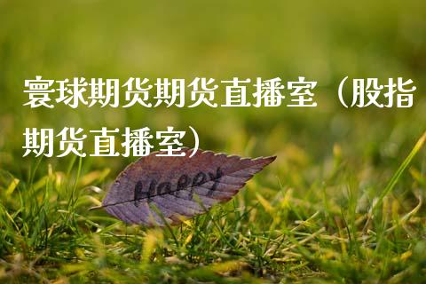 寰球期货期货直播室（股指期货直播室） (https://www.njaxzs.com/) 原油期货 第1张