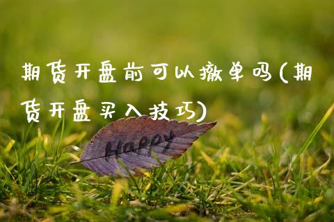 期货开盘前可以撤单吗(期货开盘买入技巧) (https://www.njaxzs.com/) 期货开户 第1张