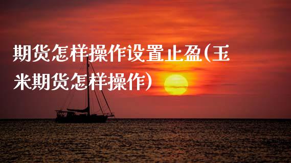 期货怎样操作设置止盈(玉米期货怎样操作) (https://www.njaxzs.com/) 黄金期货 第1张