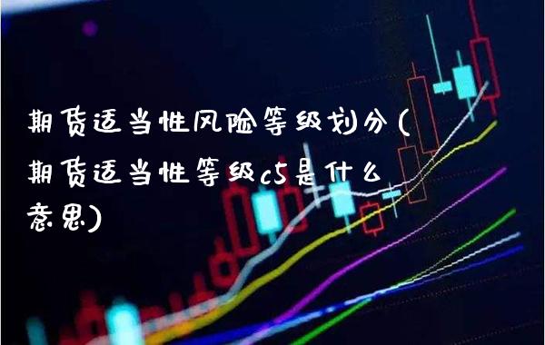 期货适当性风险等级划分(期货适当性等级c5是什么意思) (https://www.njaxzs.com/) 黄金期货 第1张