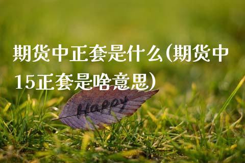 期货中正套是什么(期货中15正套是啥意思) (https://www.njaxzs.com/) 期货行情 第1张
