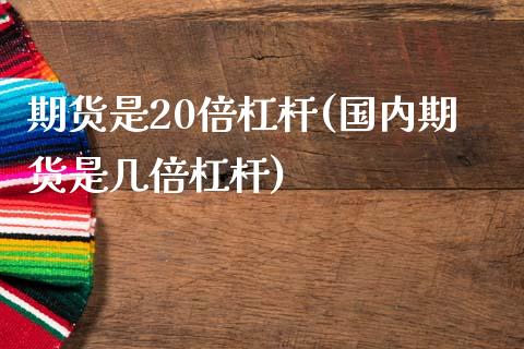 期货是20倍杠杆(国内期货是几倍杠杆) (https://www.njaxzs.com/) 期货直播间 第1张