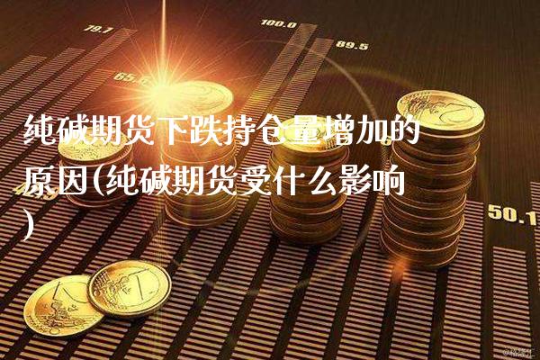 纯碱期货下跌持仓量增加的原因(纯碱期货受什么影响) (https://www.njaxzs.com/) 黄金期货 第1张