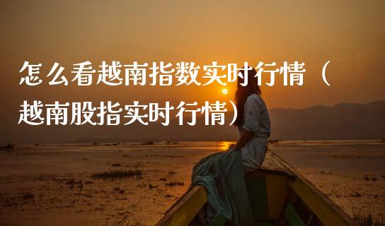 怎么看越南指数实时行情（越南股指实时行情） (https://www.njaxzs.com/) 黄金期货 第1张