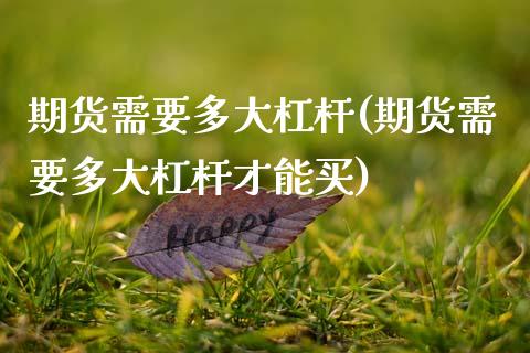 期货需要多大杠杆(期货需要多大杠杆才能买) (https://www.njaxzs.com/) 原油期货 第1张