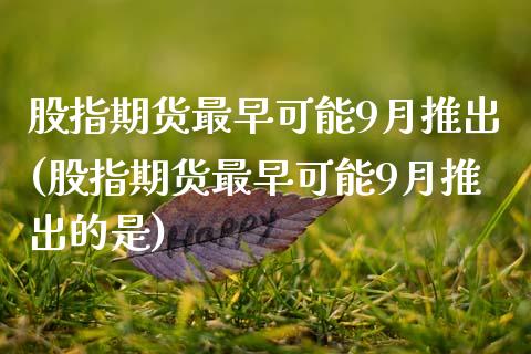 股指期货最早可能9月推出(股指期货最早可能9月推出的是) (https://www.njaxzs.com/) 期货行情 第1张