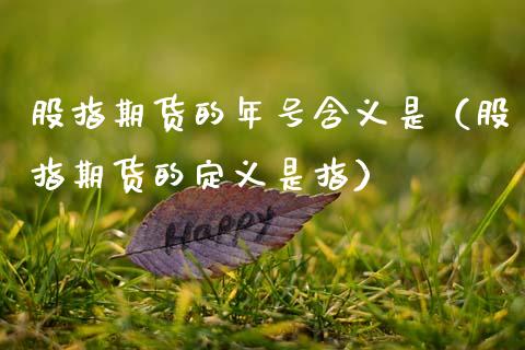 股指期货的年号含义是（股指期货的定义是指） (https://www.njaxzs.com/) 期货直播间 第1张