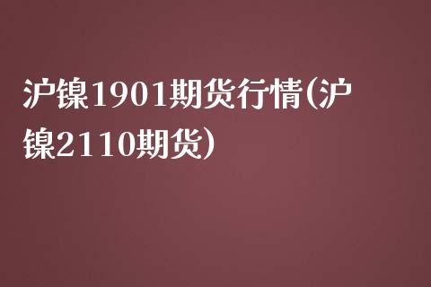 沪镍1901期货行情(沪镍2110期货) (https://www.njaxzs.com/) 原油期货 第1张