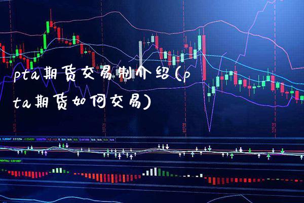pta期货交易制介绍(pta期货如何交易) (https://www.njaxzs.com/) 内盘期货 第1张