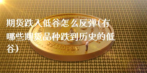 期货跌入低谷怎么反弹(有哪些期货品种跌到历史的低谷) (https://www.njaxzs.com/) 内盘期货 第1张