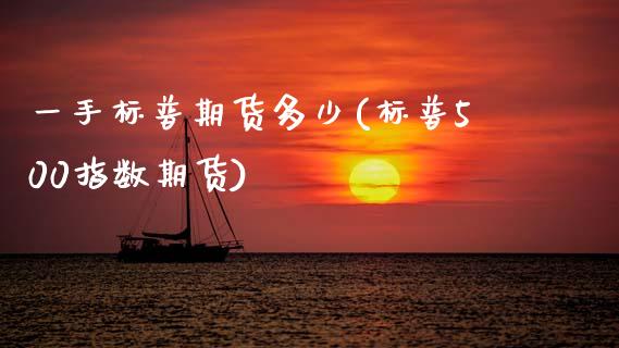 一手标普期货多少(标普500指数期货) (https://www.njaxzs.com/) 期货直播间 第1张