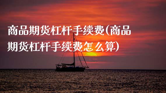 商品期货杠杆手续费(商品期货杠杆手续费怎么算) (https://www.njaxzs.com/) 期货直播间 第1张