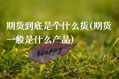 期货到底是个什么货(期货一般是什么产品) (https://www.njaxzs.com/) 期货开户 第1张