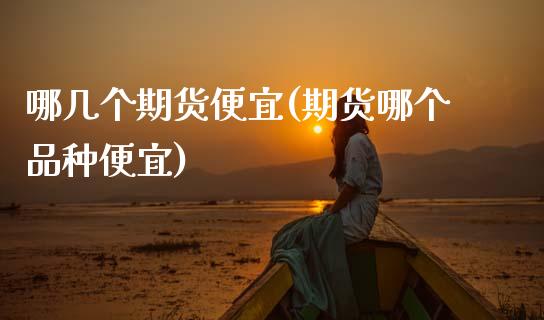 哪几个期货便宜(期货哪个品种便宜) (https://www.njaxzs.com/) 期货开户 第1张