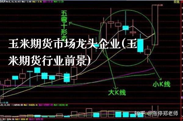 玉米期货市场龙头企业(玉米期货行业前景) (https://www.njaxzs.com/) 黄金期货 第1张