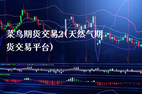 菜鸟期货交易2(天然气期货交易平台) (https://www.njaxzs.com/) 黄金期货 第1张