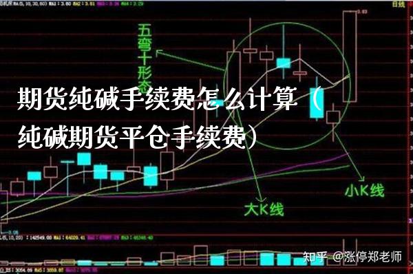 期货纯碱手续费怎么计算（纯碱期货平仓手续费） (https://www.njaxzs.com/) 内盘期货 第1张