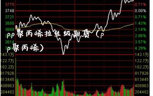 pp聚丙烯拉丝级期货（pp聚丙烯） (https://www.njaxzs.com/) 期货直播间 第1张