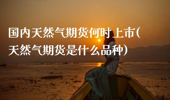 国内天然气期货何时上市(天然气期货是什么品种) (https://www.njaxzs.com/) 黄金期货 第1张