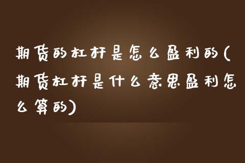 期货的杠杆是怎么盈利的(期货杠杆是什么意思盈利怎么算的) (https://www.njaxzs.com/) 原油期货 第1张