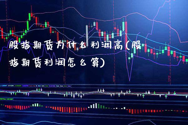 股指期货为什么利润高(股指期货利润怎么算) (https://www.njaxzs.com/) 期货开户 第1张