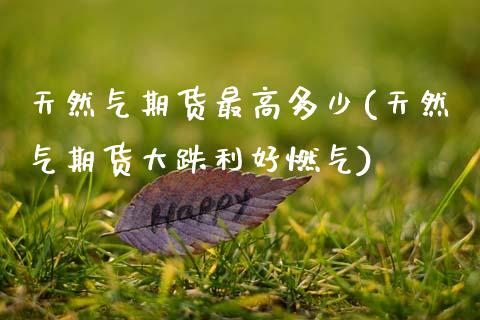 天然气期货最高多少(天然气期货大跌利好燃气) (https://www.njaxzs.com/) 期货直播间 第1张