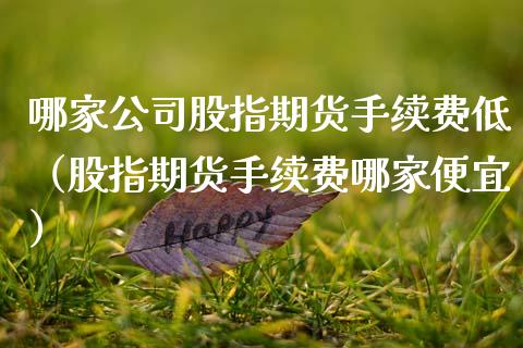 哪家公司股指期货手续费低（股指期货手续费哪家便宜） (https://www.njaxzs.com/) 期货直播间 第1张