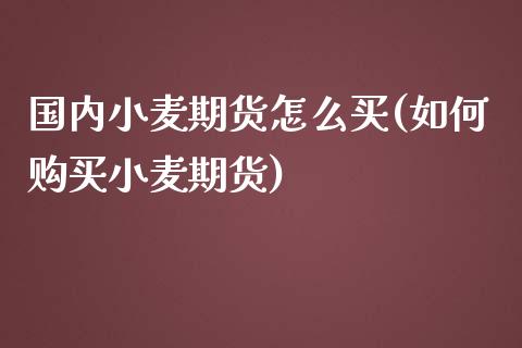 国内小麦期货怎么买(如何购买小麦期货) (https://www.njaxzs.com/) 期货开户 第1张