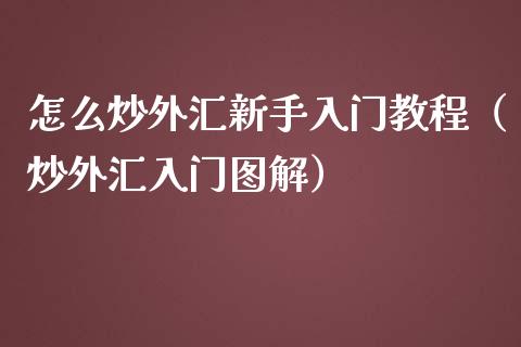 怎么炒外汇新手入门教程（炒外汇入门图解） (https://www.njaxzs.com/) 期货直播间 第1张