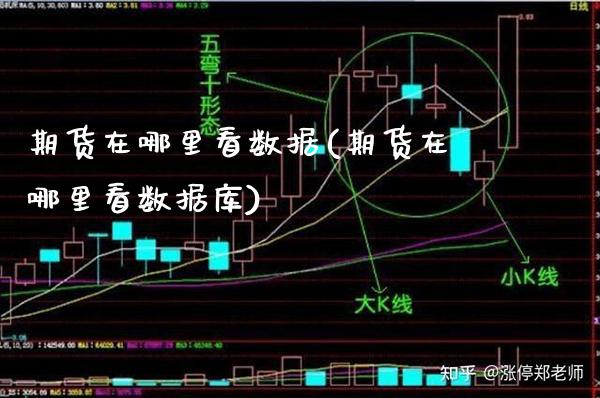 期货在哪里看数据(期货在哪里看数据库) (https://www.njaxzs.com/) 黄金期货 第1张