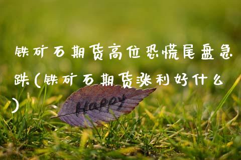 铁矿石期货高位恐慌尾盘急跌(铁矿石期货涨利好什么) 期货直播间 第1张-爱新财经 铁矿石期货高位恐慌尾盘急跌(铁矿石期货涨利好什么) (https://www.njaxzs.com/) 期货直播间 第1张