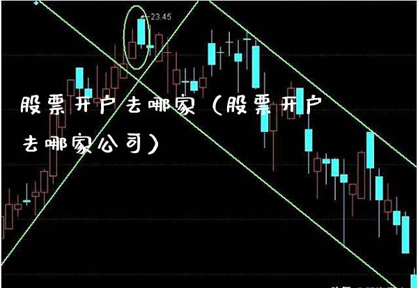 去哪家（去哪家公司） (https://www.njaxzs.com/) 期货行情 第1张