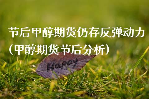 节后甲醇期货仍存反弹动力(甲醇期货节后分析) (https://www.njaxzs.com/) 原油期货 第1张