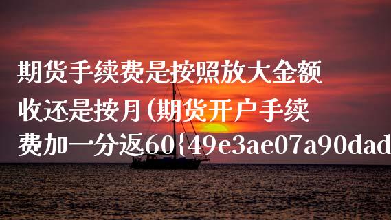 期货手续费是按照放大金额收还是按月(期货开户手续费加一分返60%算高吗) (https://www.njaxzs.com/) 期货投资 第1张
