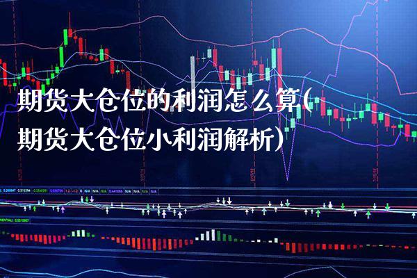 期货大仓位的利润怎么算(期货大仓位小利润解析) (https://www.njaxzs.com/) 期货行情 第1张