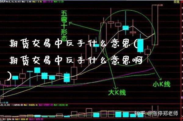 期货交易中反手什么意思(期货交易中反手什么意思啊) (https://www.njaxzs.com/) 期货行情 第1张