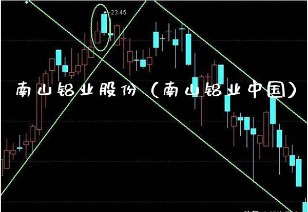 南山铝业股份（南山铝业中国） (https://www.njaxzs.com/) 内盘期货 第1张