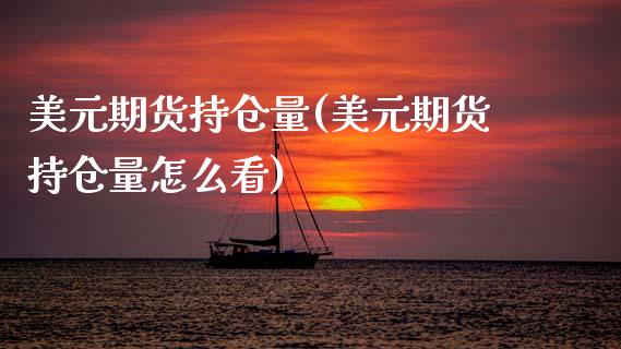 美元期货持仓量(美元期货持仓量怎么看) (https://www.njaxzs.com/) 内盘期货 第1张